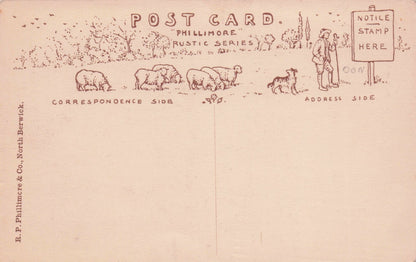 Pease Glen Berwickshire Phillimore Rare Art Postcard & Amazing Reverse