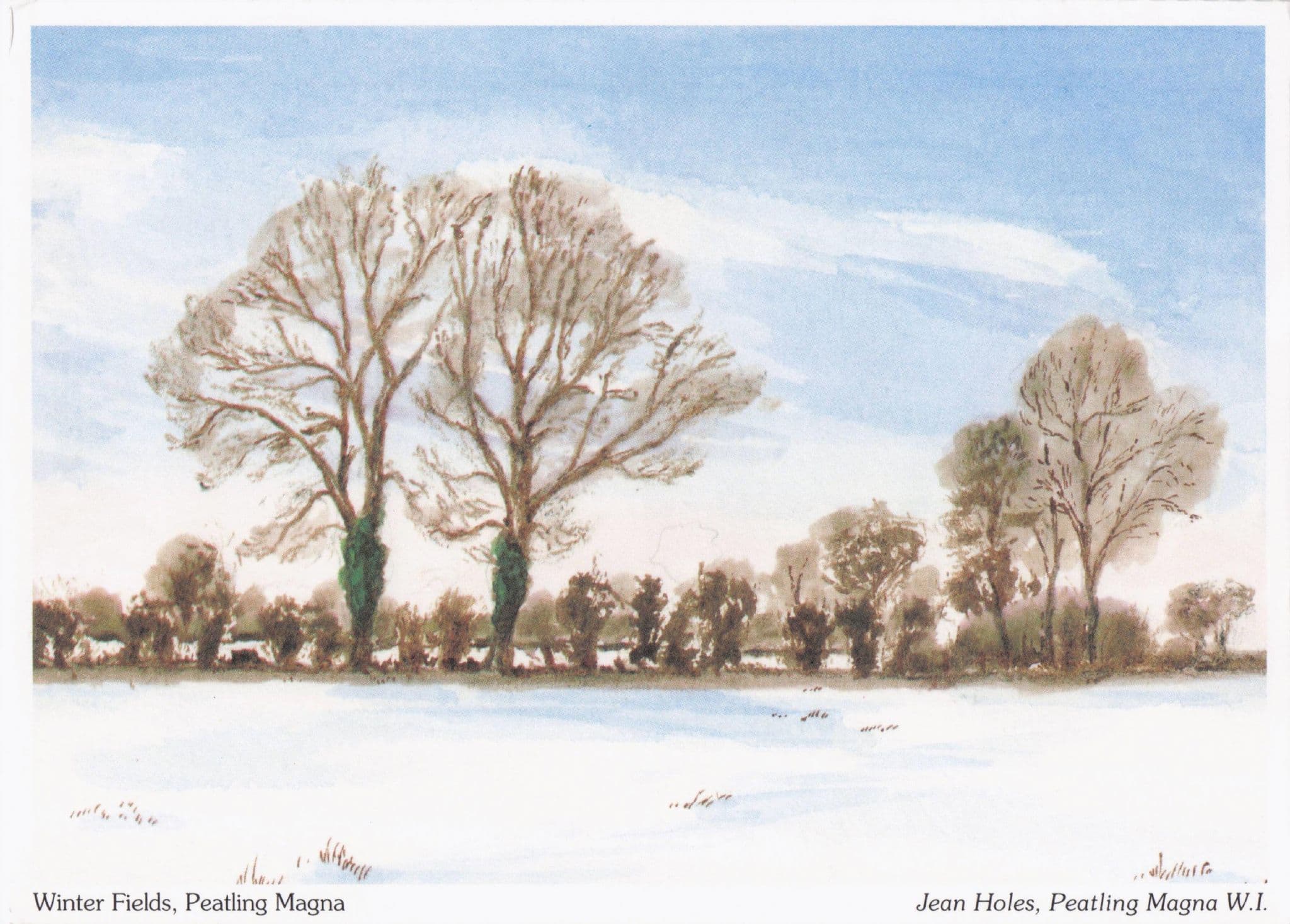Peatling Magna Fields In Snow at Winter Leicester Women's Institute Postcard
