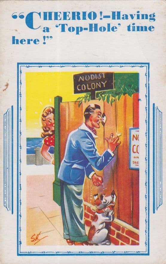Peeping Tom at Nudist Colony Hole In Fence 1970s Postcard
