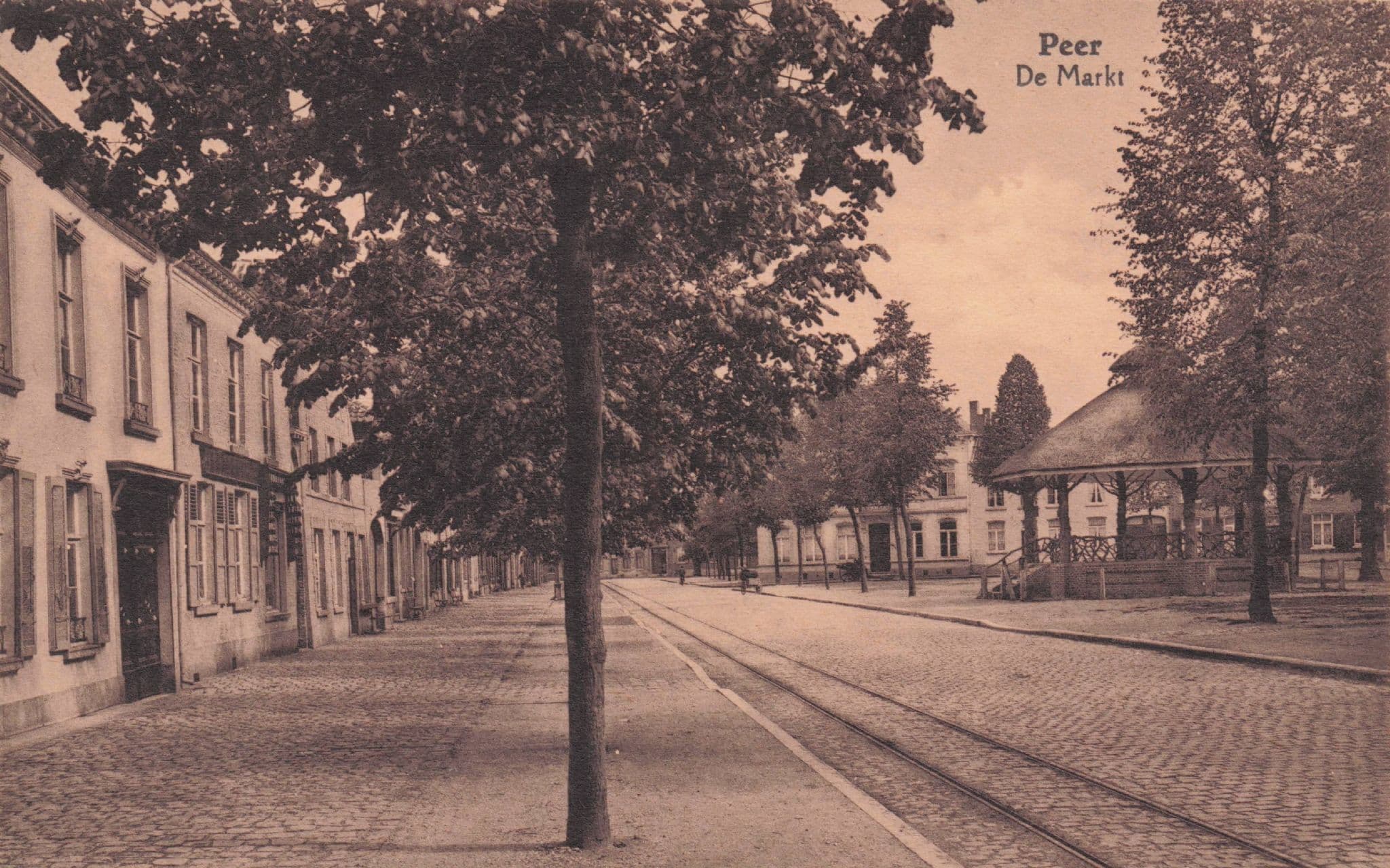 Peer Limburg De Markt Belgium Market Antique Postcard