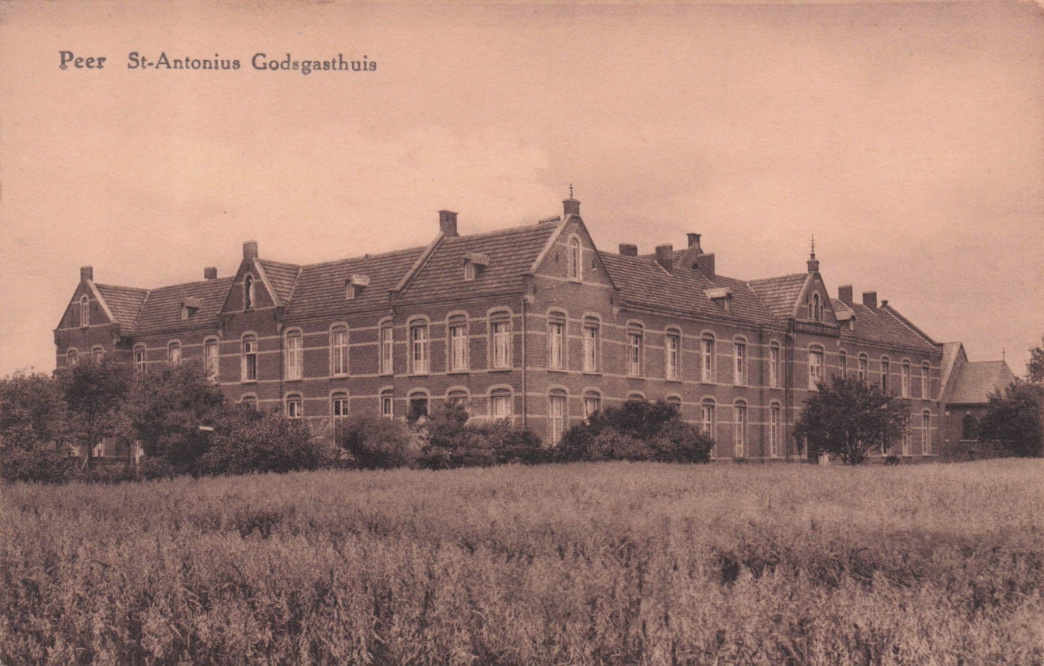Peer St St Saint Antonius Godsgasthuis Antique Belgium Postcard