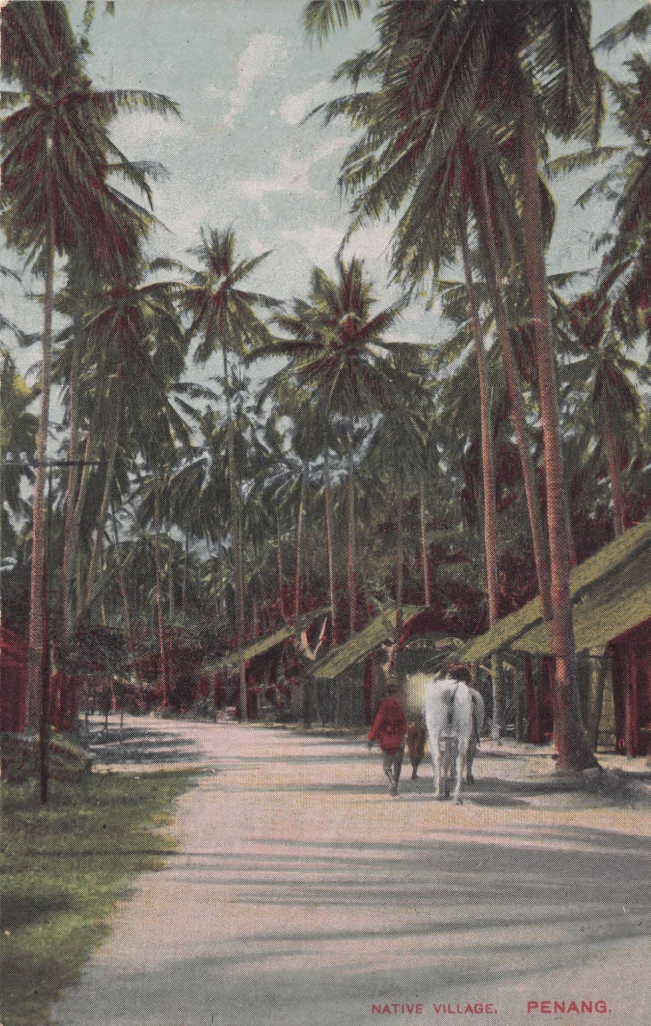 Penang Native Village Malaya Malaysia Antique Postcard