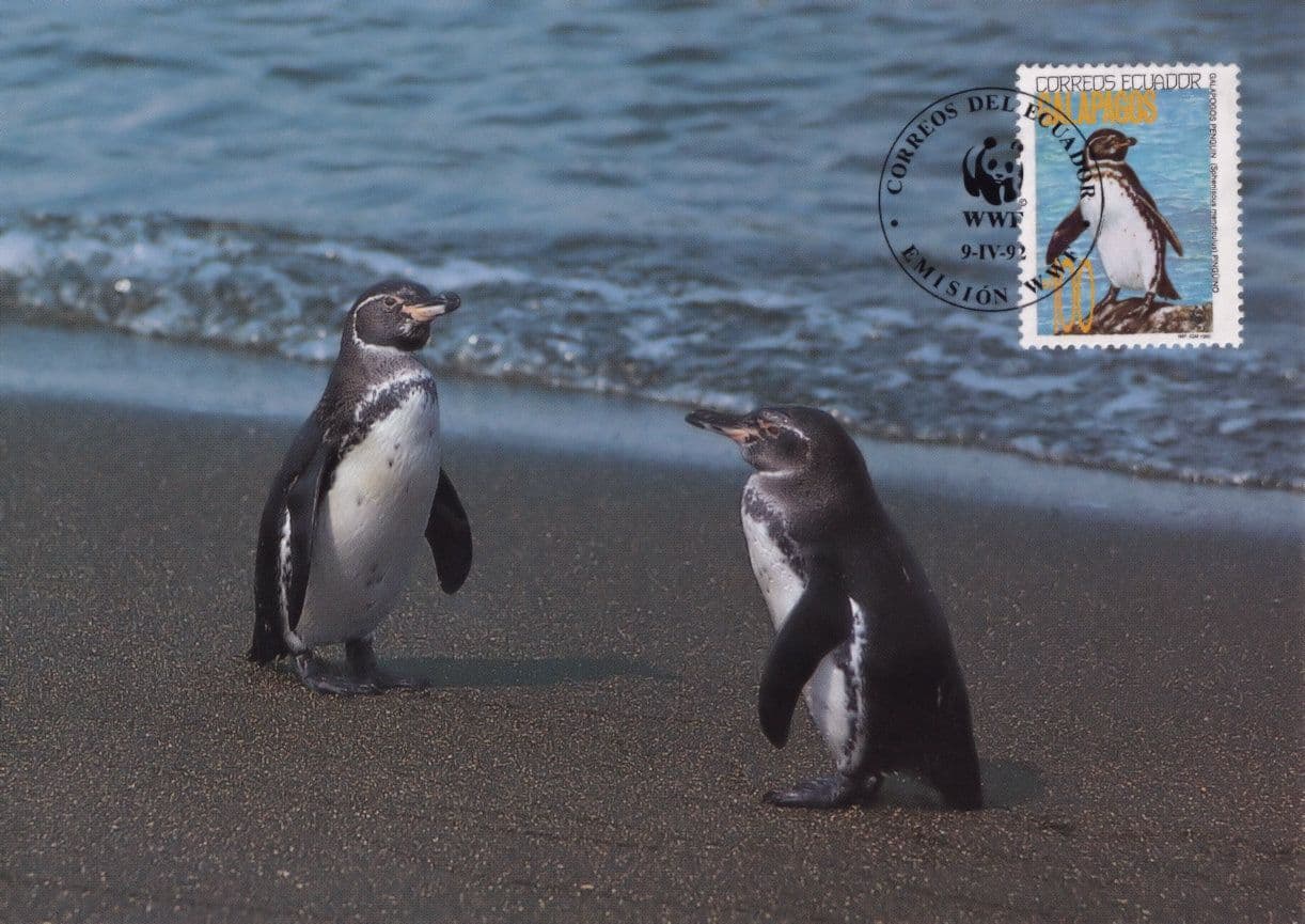 Penguin Galapagos WWF Stamp First Day Cover Postcard