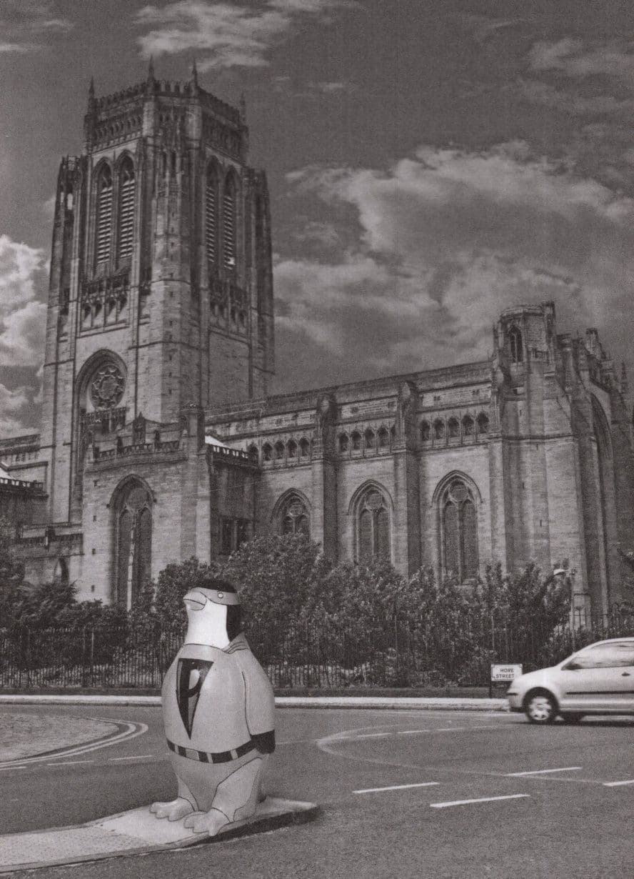 Penguins at Anglican Cathedral Liverpool Real Photo Postcard