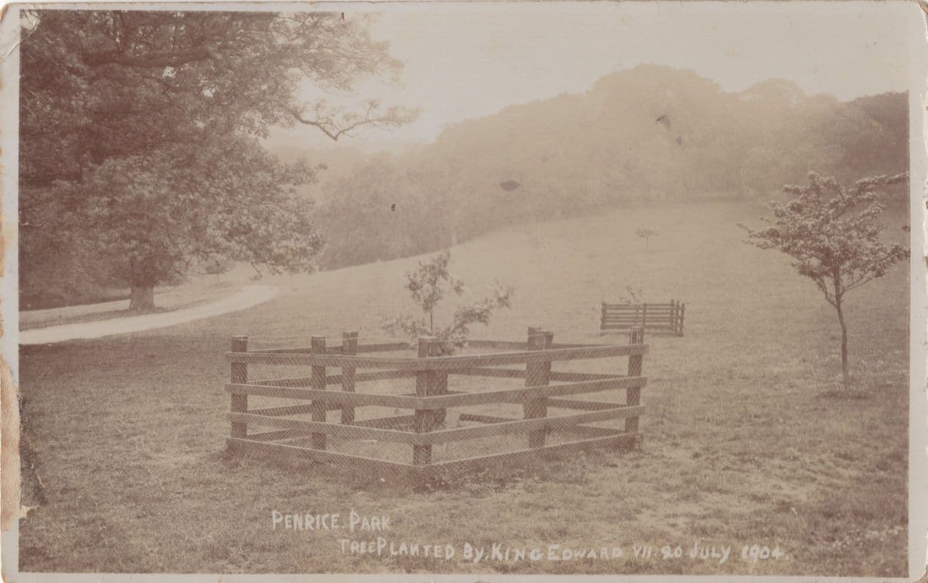 Penrice Park Leven 1904 King Edward VII Tree Scottish Real Photo Postcard