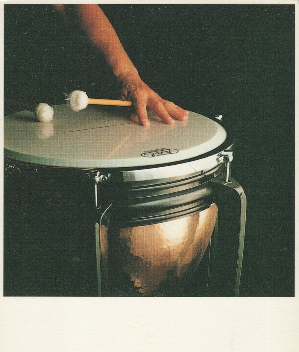 Percussion Drummer Of Rotterdam Holland Orchestra Award Photo Postcard