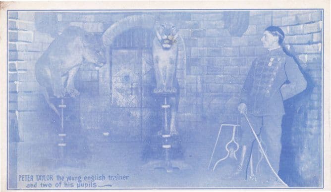 Peter Taylor British Old Lion Circus Tamer Trainer Postcard