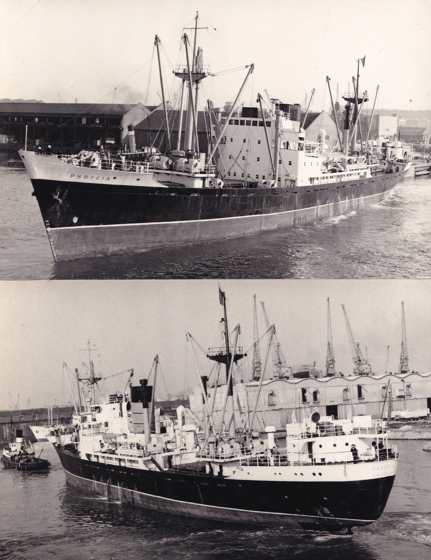 Phrygia Cunard Cargo Ship 2x Plain Back Postcard Photo s