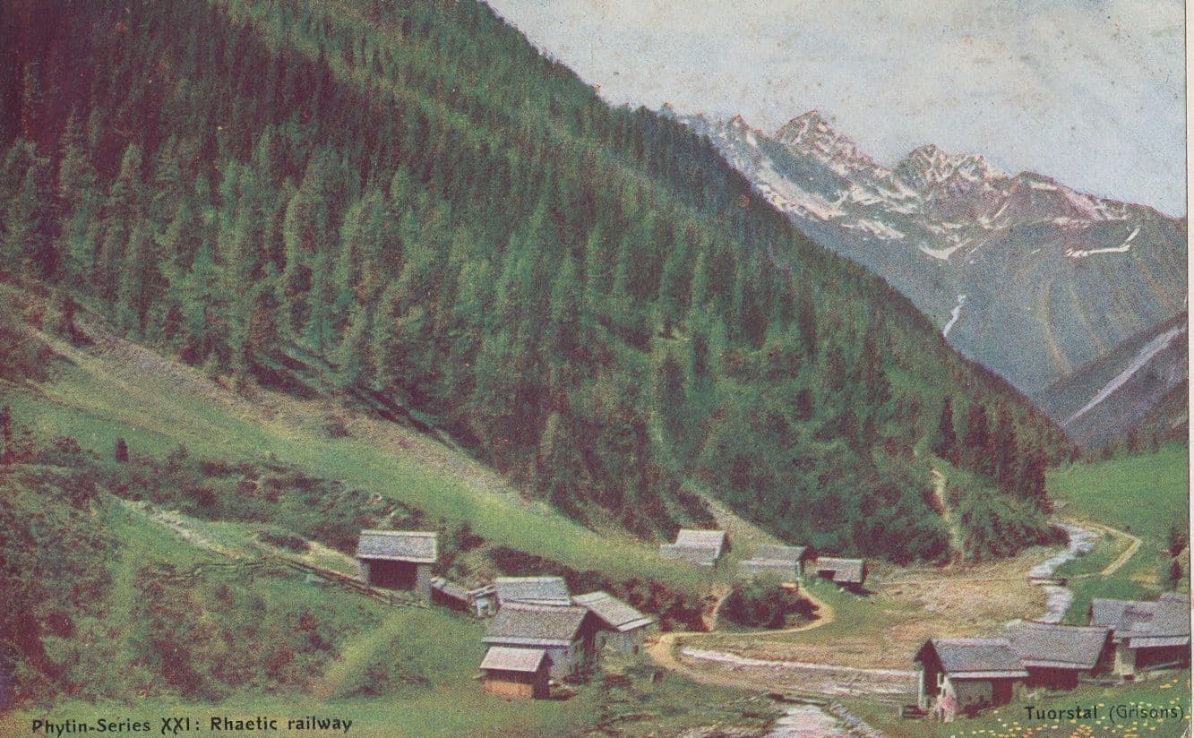 Phytin Vegetable Phosphorous From Seeds Switzerland Postcard