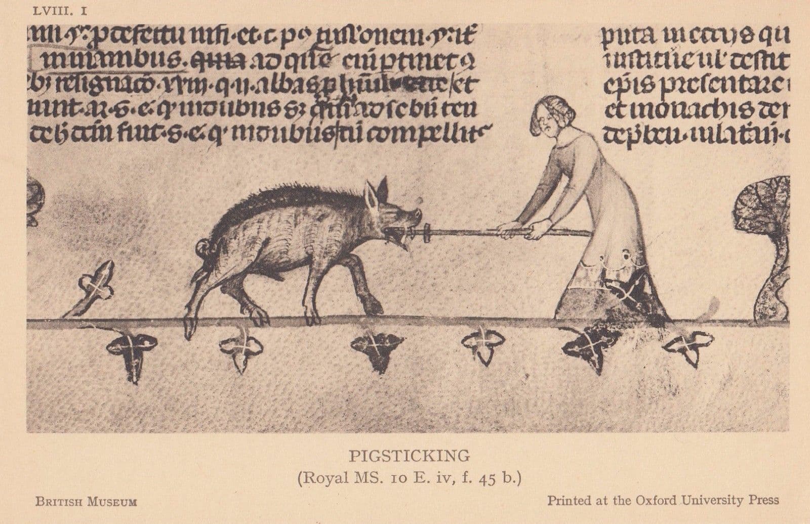 Picksticking Pig Killing Bullfight Blood Sport 1600s Medieval Antique Postcard