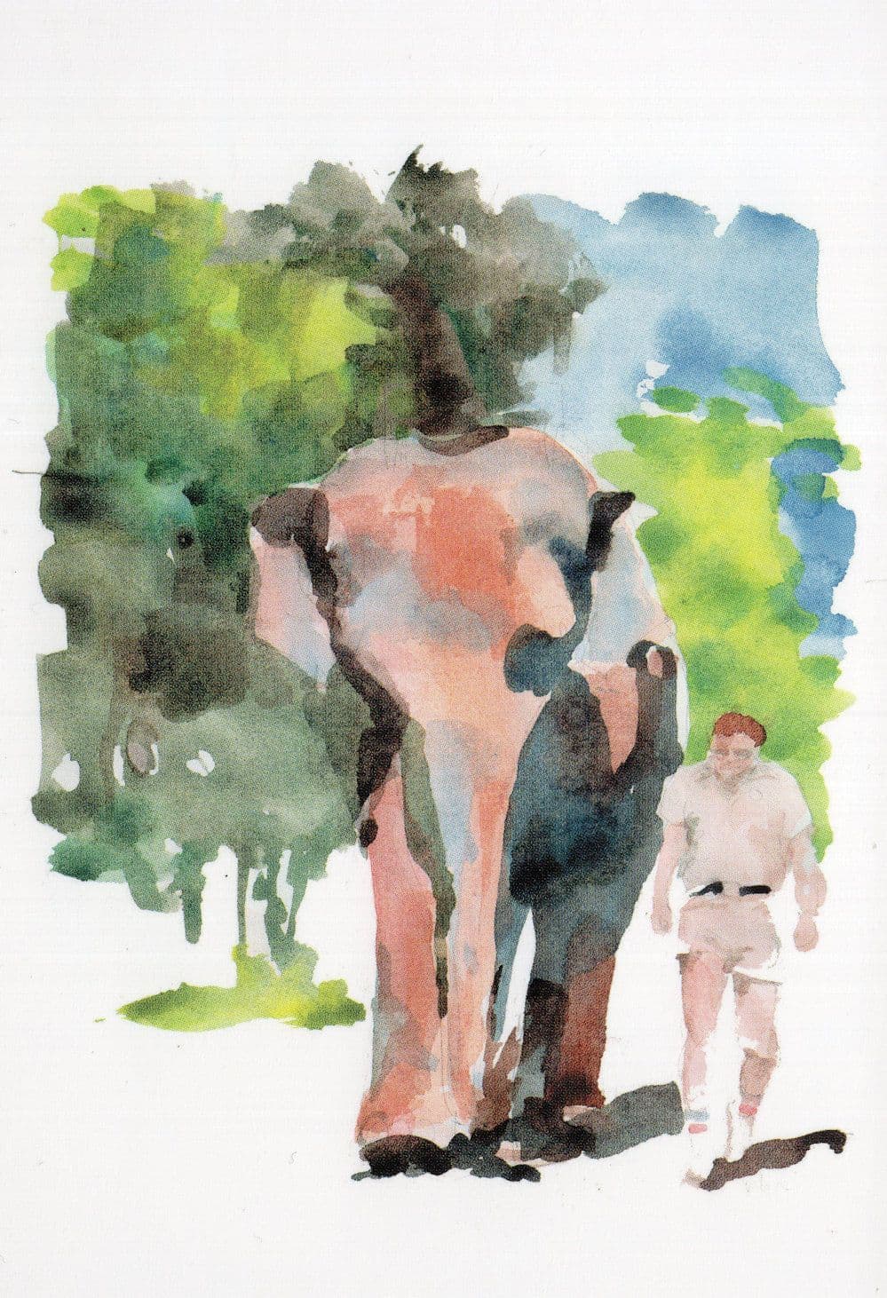 Pink Elephant at San Diego Zoo Stunning Sketch Painting Postcard