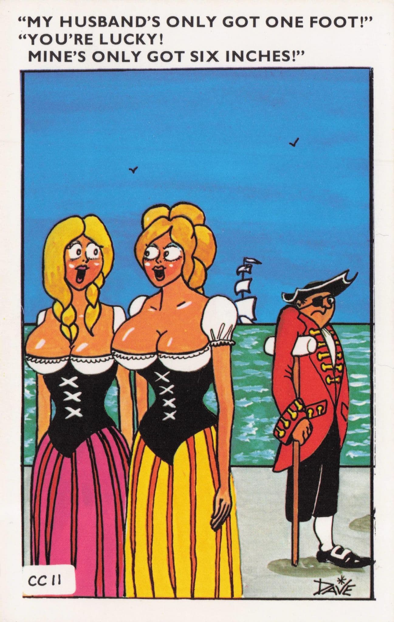 Pirate Husband One Leg Ship Parrott Walking Stick Comic Postcard