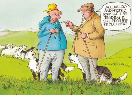 Pitbull Terrier Baseball Cap Sheepdog Trails Comic Humour Postcard