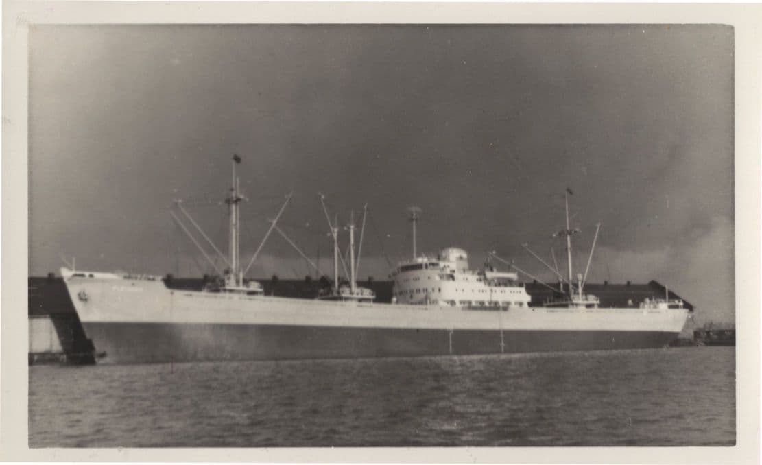 Pleiades Cargo Ship Vintage Rare Photo