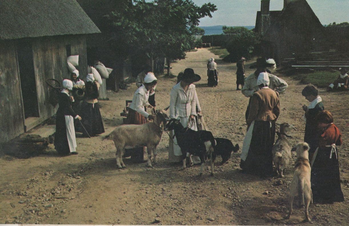 Plimoth Plantation Massachusetts USA 1970s Postcard