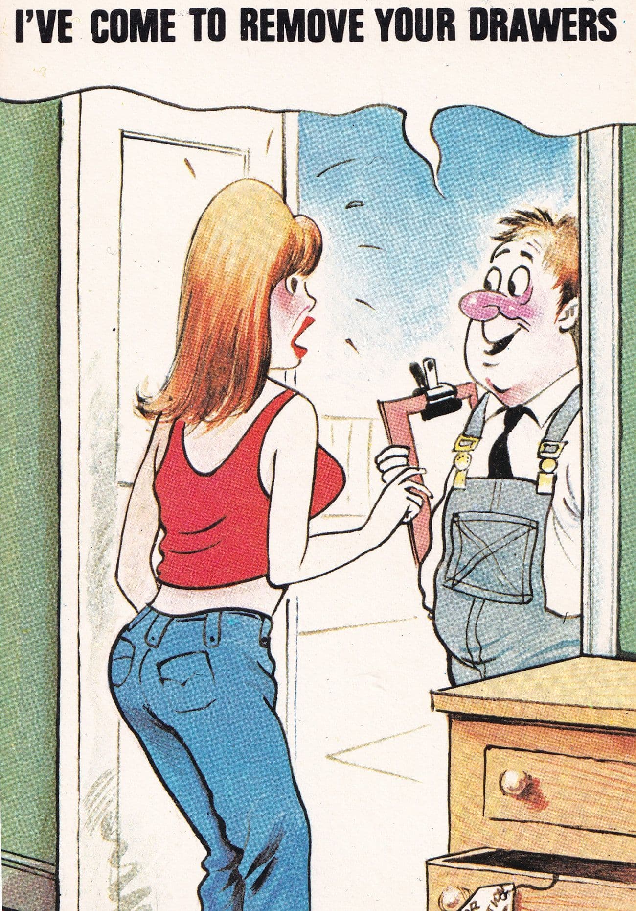 Plumber Sexy Housewife Drawers Trousers 1970s Comic Postcard