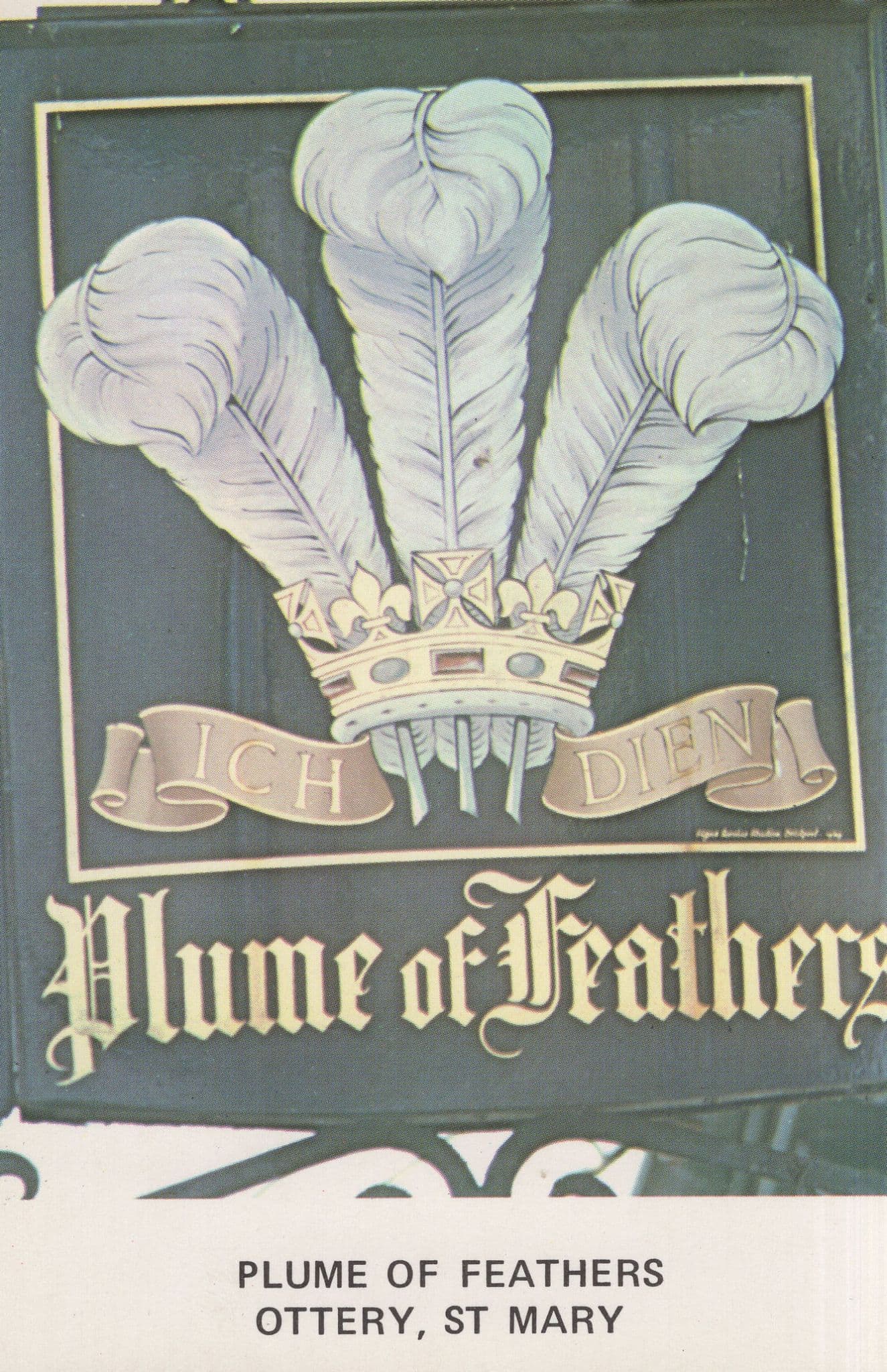Plume Of Feathers Ottery St Mary Devon Pub Sign Postcard