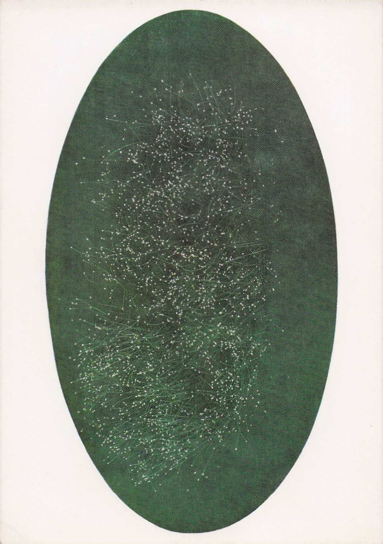 Pol Bury White Dots On An Oval Ground Tate Gallery Painting Postcard