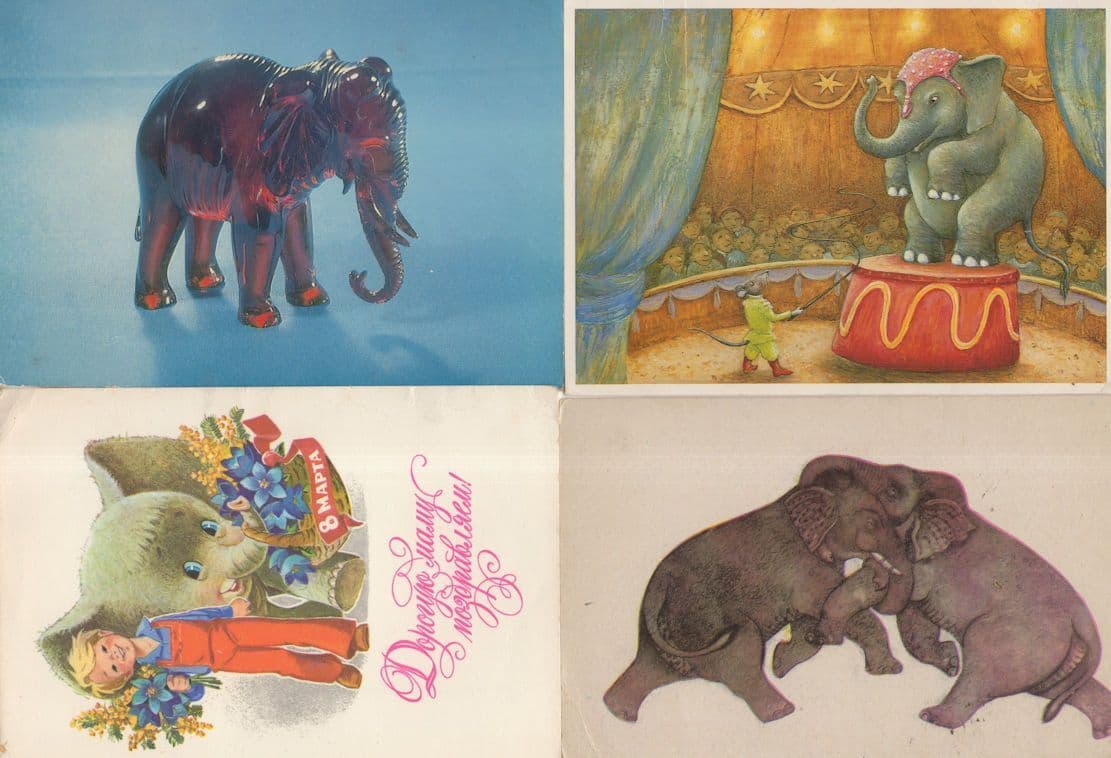 Polish Circus Fighting Arlington Court 4x Elephant Postcard s