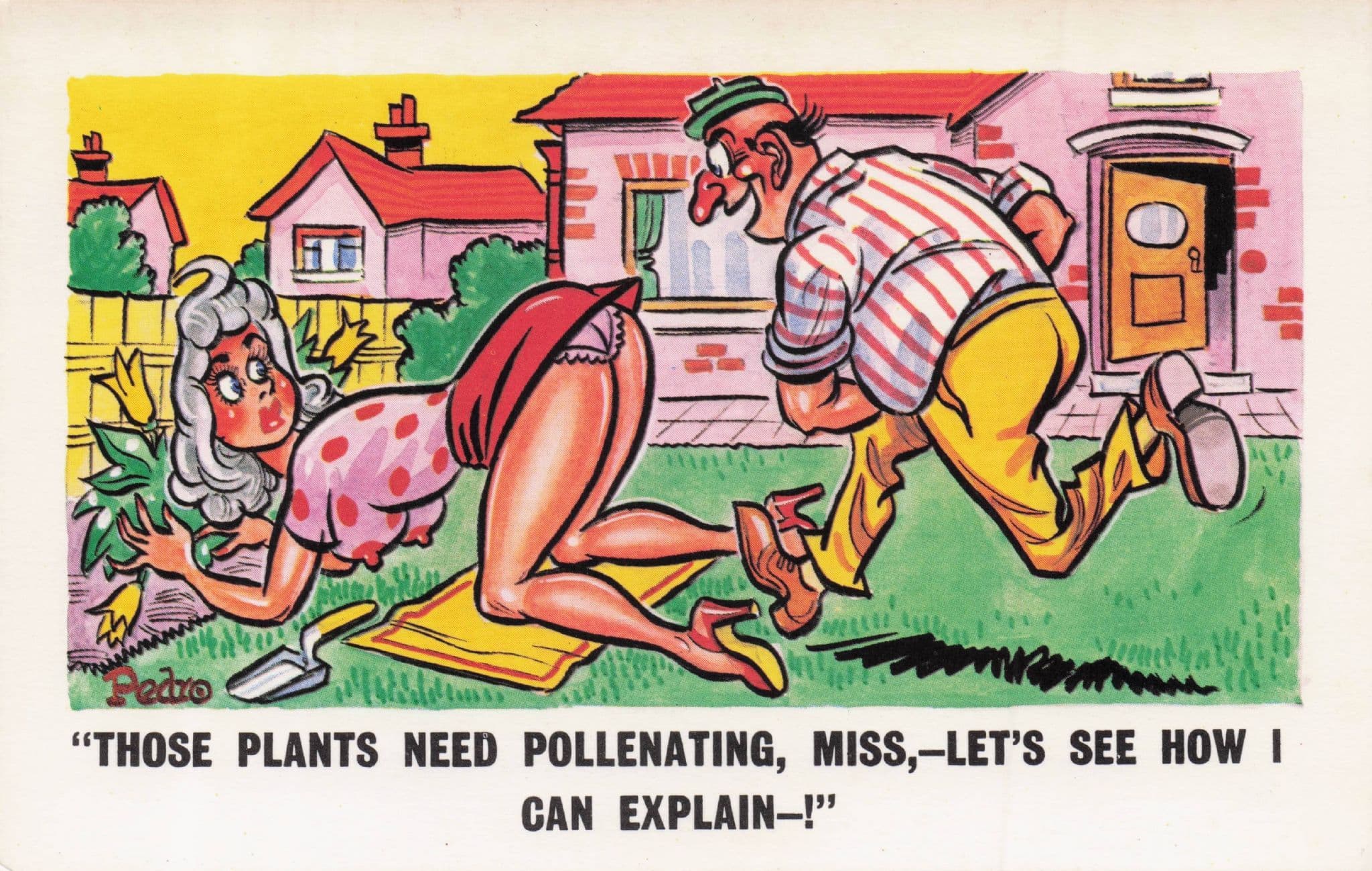 Pollen Plants Randy Gardener Sexy Lady Garden 1970s Comic postcard