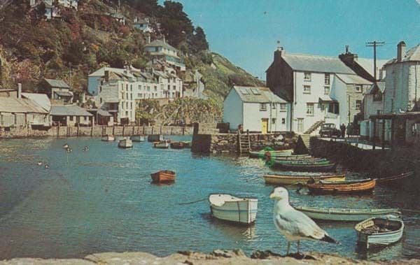 Polperro Feeding Time For Birds Waiting For Breakfast Cornwall Old Postcard
