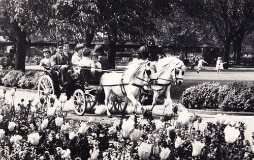 Pony Donkey Rides At London Zoo Wildlife Park 1950s Old Real Photo Postcard