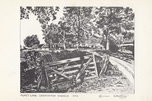 Popes Lane Wisbech Cambridge Drawing Postcard
