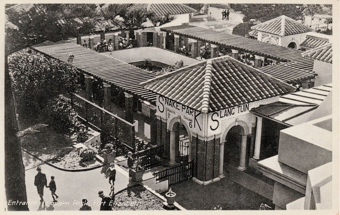 Port Elizabeth Snake Park Entrance Real Photo Aerial Postcard