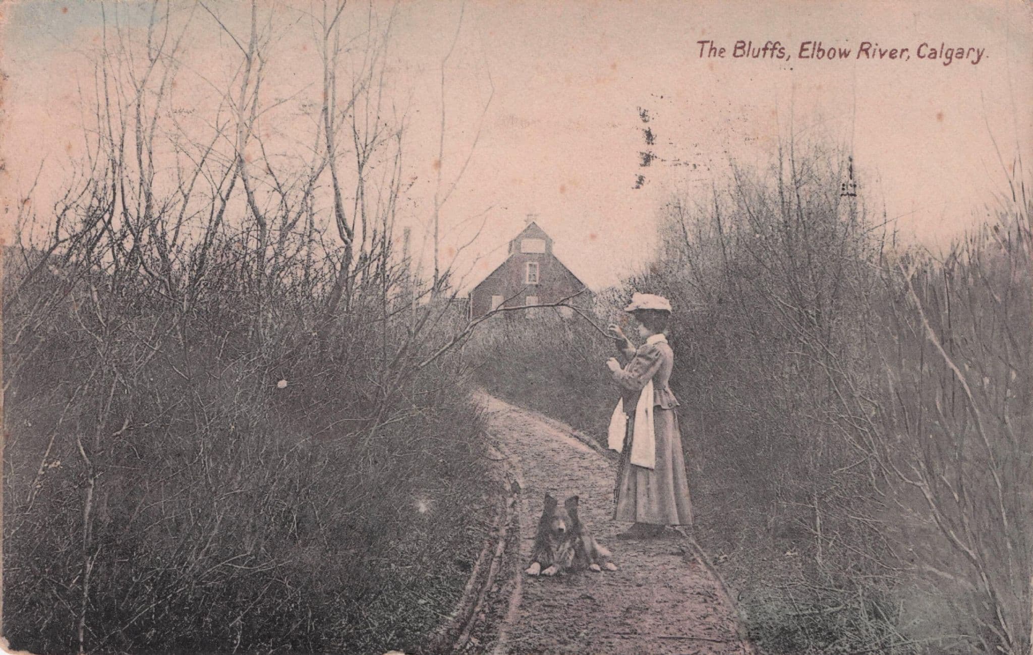 Posh Lady & Dog at The Bluffs Elbow River Calgary Canada Old Postcard