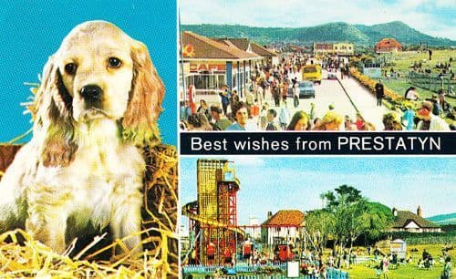 Prestatyn Wales Childrens Welsh Park Childrens Playground Giant Slide Postcard