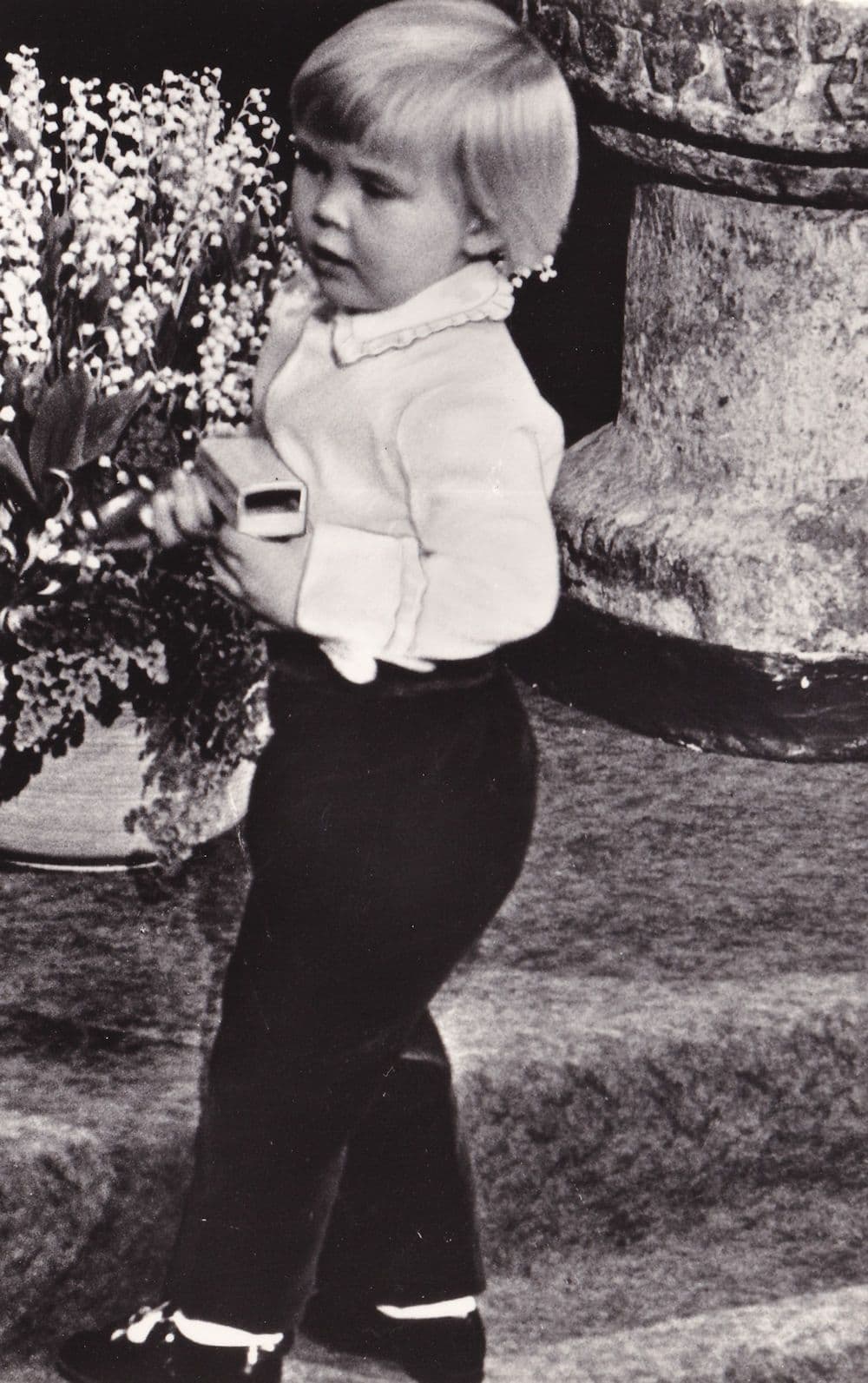 Prince Willem William Of Holland In Garden 1970 Postcard