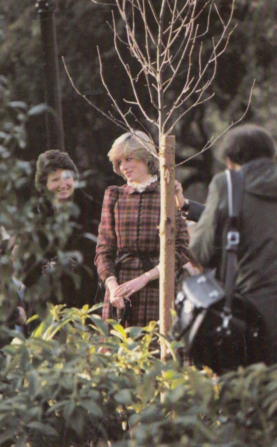 Princess Diana Plants A Tree in 1981 Royal Postcard