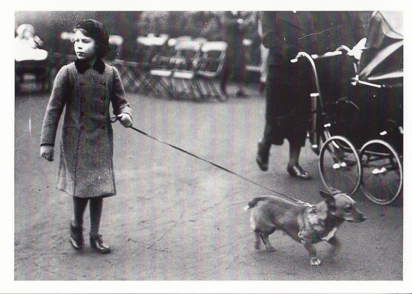 Princess Elizabeth Hyde Park Walking Her Dog Postcard
