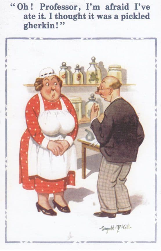 Professor Chemist Ate Pickled Gherkin Donald McGill Banned Comic Humour Postcard