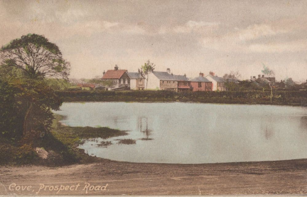 Prospect Road Cove Scottish Borders Antique Postcard