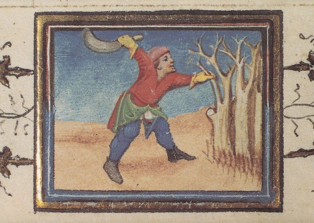 Pruning Trees Belgium Flemish Prunes Medieval Book Postcard
