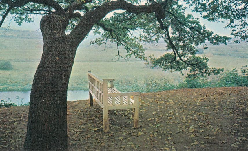 Pskov Trigorskoye Onegins Bench Russian Postcard