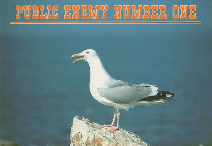 Public Enemy Number One The Seagull Postcard