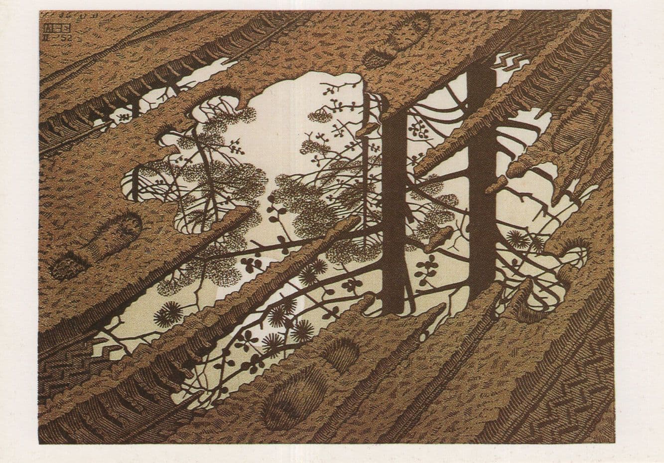 Puddle MC Escher Dutch Artist Painting Postcard