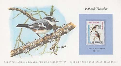 Puff Back Flycatcher Stamp Postcard FDC First Day Cover