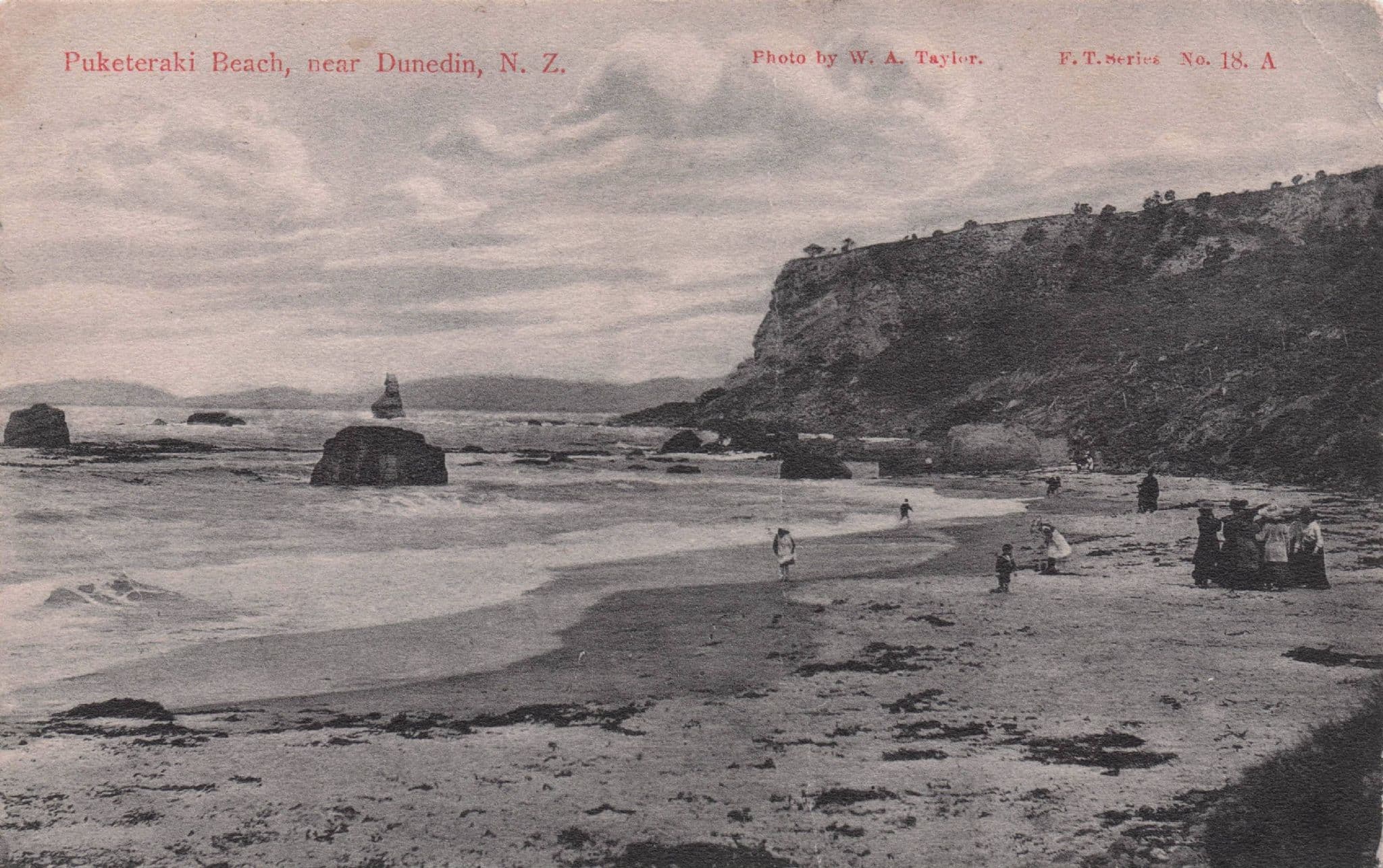 Puketeraki Beach Dunedin New Zealand Postcard Please Read