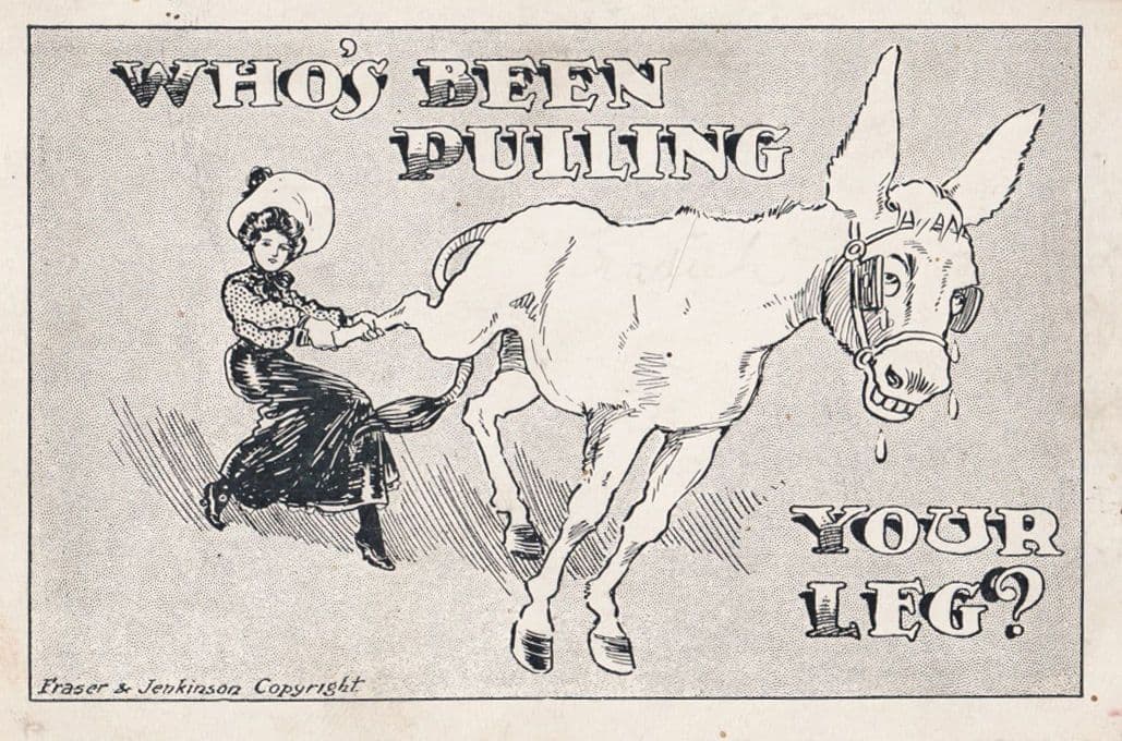 Pulling Your Leg Horse Racing A Lady Old Proverb Comic Humour Postcard