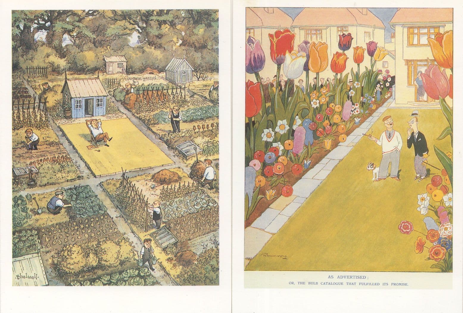 Punch Magazine Landscape Gardens 1932 1954 Postcard s