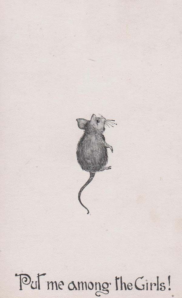 Put Me Amongst The Girls Mouse Mice Horror Scaring Scare Comic Humour Postcard