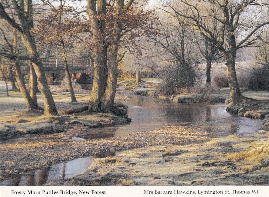 Puttles Bridge on Frosty Morning New Forest Hampshire Postcard