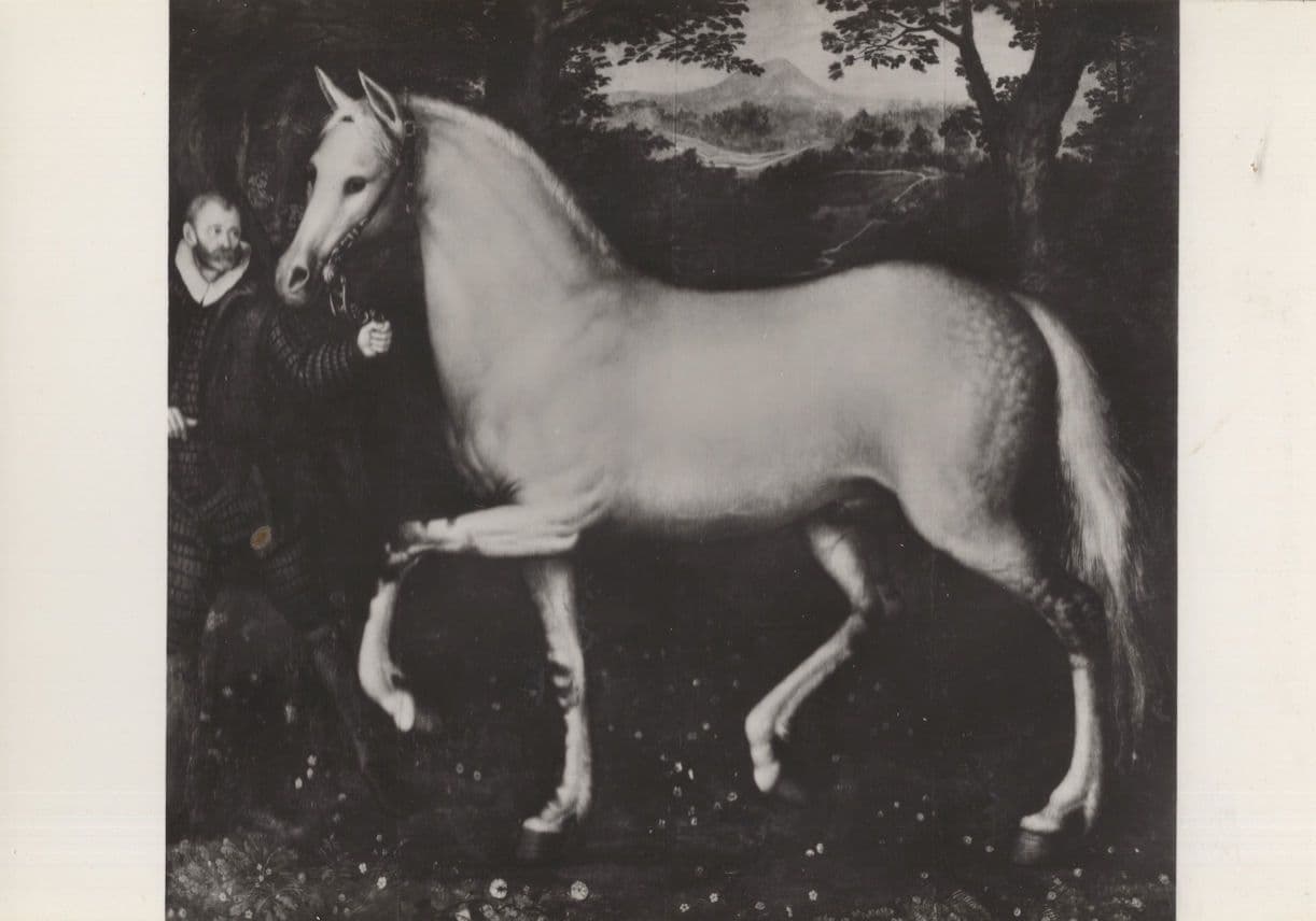 Queen Elizabeth 1st I White Horse 1588 Tilbury Forces RPC Postcard