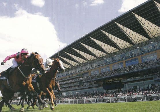 Queen Elizabeth II 2 at Ascot Race Course Rare Large 1990s Advertising Postcard