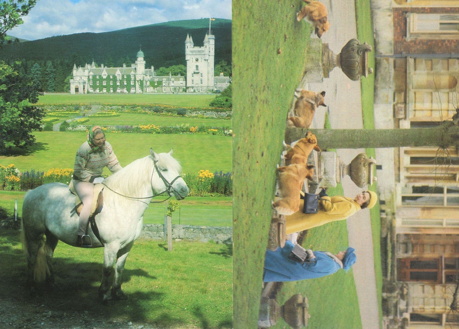 Queen Elizabeth II On Highland Pony & Dogs Sandringham 1982 Postcard s