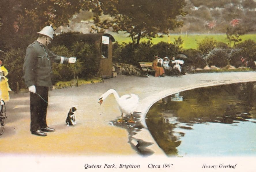 Queens Park Brighton With Policeman & Dog Postcard