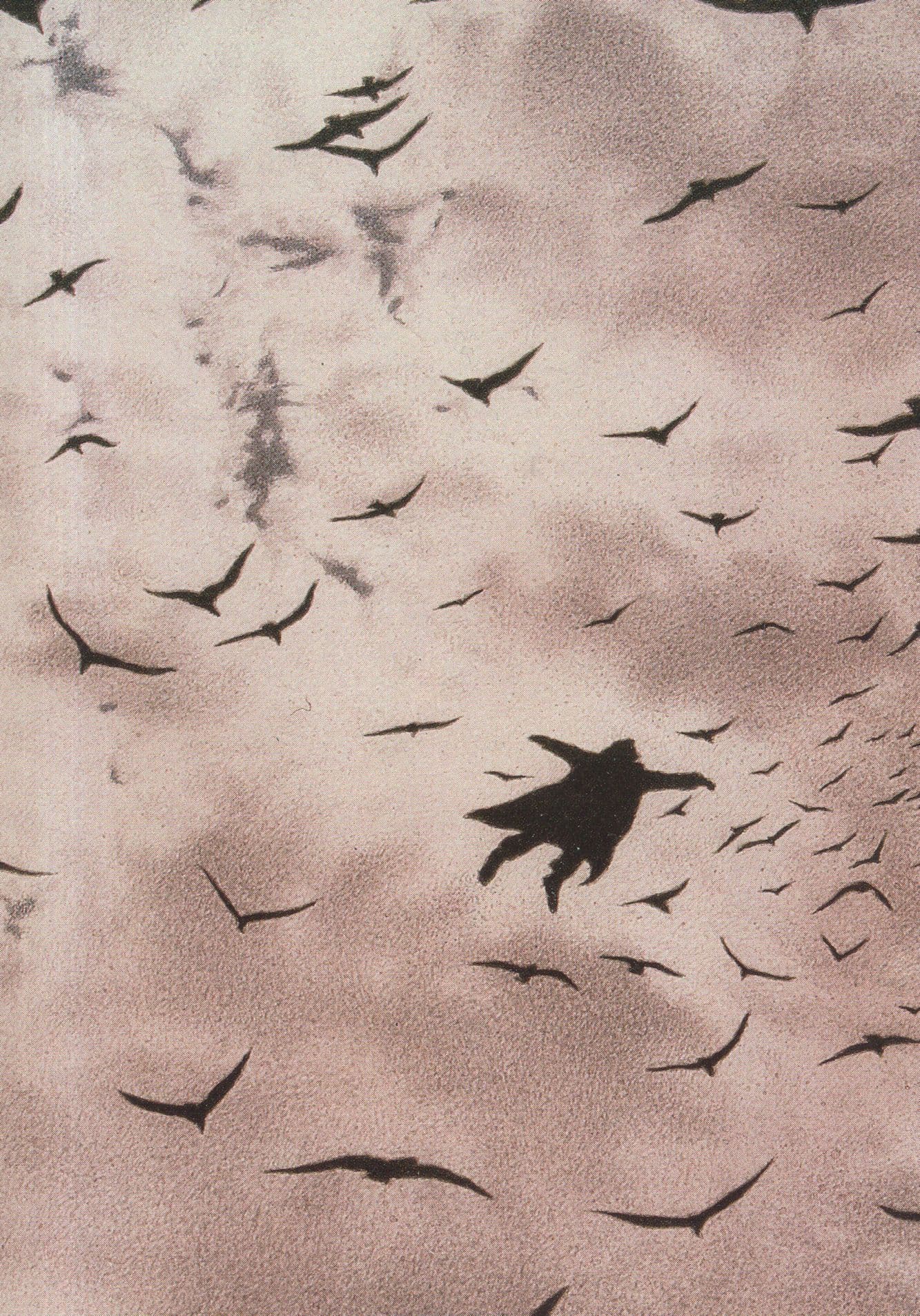 Quint Buchholz Der Flug German Flying Man In Air Painting Postcard